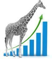 giraffe-graph-small